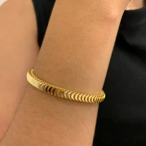 PULSEIRA ESCAMA